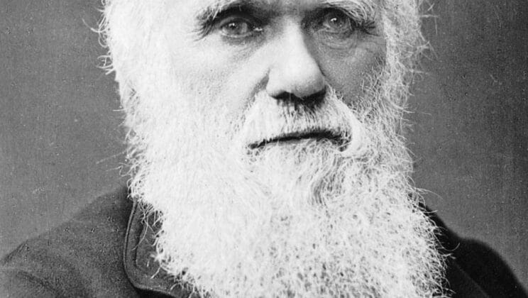Who Was Charles Darwin? The Man Who Changed How We Understand Life on Earth