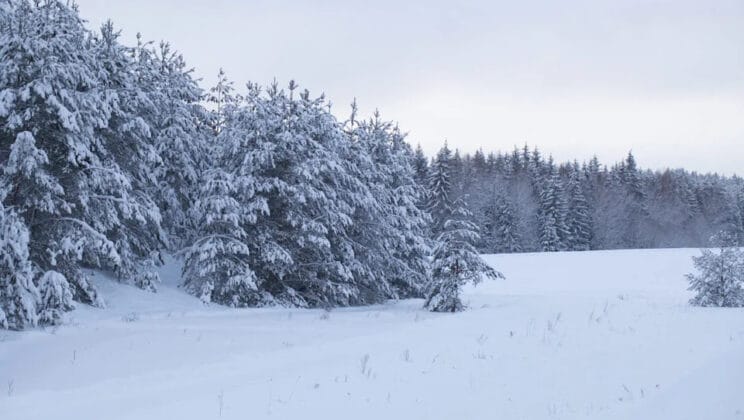 Winter Vanished in the Arctic and the World Is Changing Forever