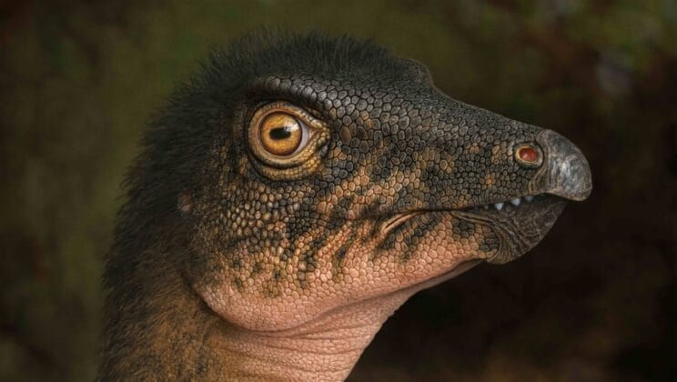 Buried Secrets Unearthed as Dinosaur Fossil Found Deep Below Denver