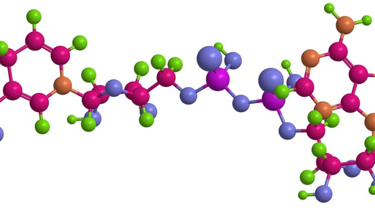 The Power of Polymers: From Plastics to DNA