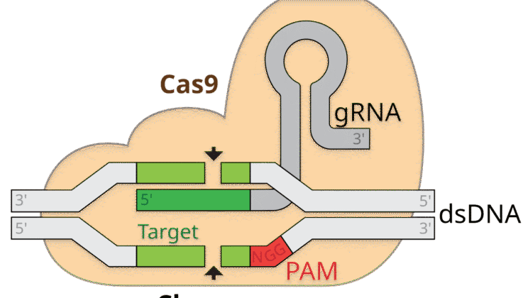 10 Revolutionary Advances in Gene Editing That Are Transforming Life Itself