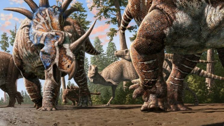 Walking with Dinosaurs Discoveries Show Giants Traveling Together 76 Million Years Ago