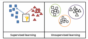 Supervised vs Unsupervised Learning: What’s the Real Difference?
