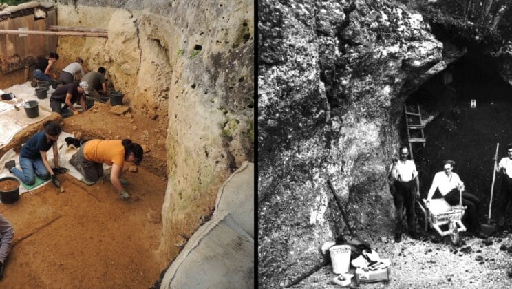 The Ice Age Didn’t Keep Them Away for Long