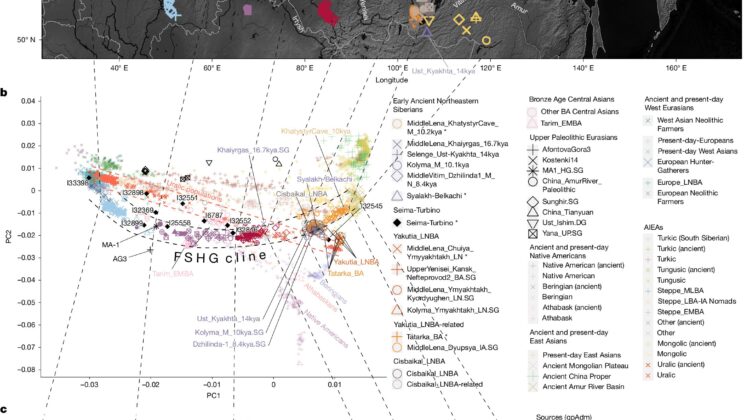 The Siberian Origins of Europe’s Most Mysterious Languages