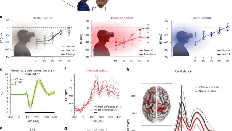 Your Brain Can Trigger an Immune Response Without You Getting Sick