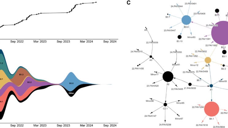 Bird Flu Is Evolving Faster Than We Thought and Flying Across Continents