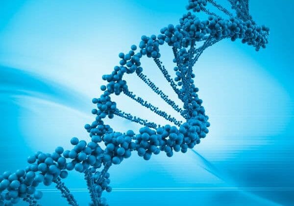 Understanding Human Genetics
