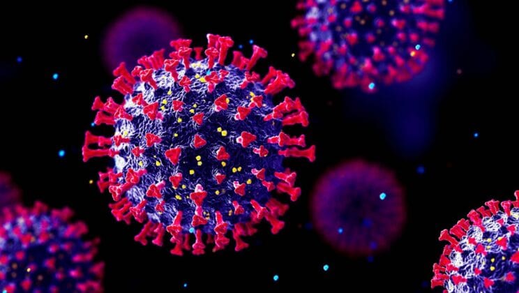 How Viruses Work: A Biological Deep Dive