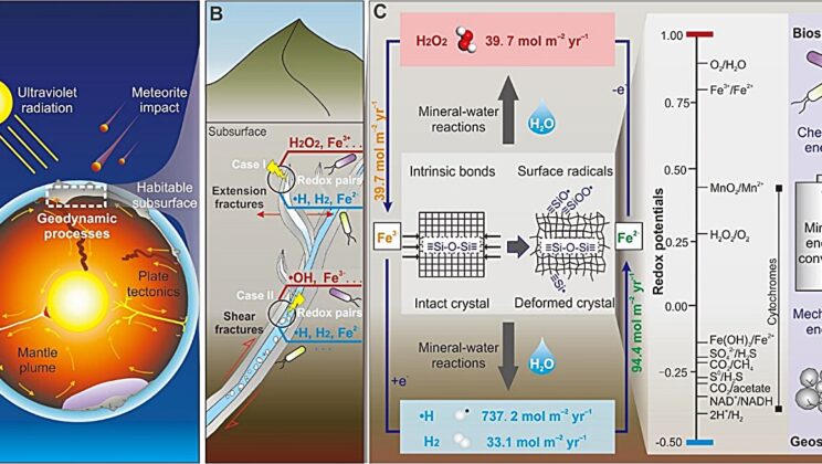 The Secret Life Beneath Earth Where Darkness Fuels Existence