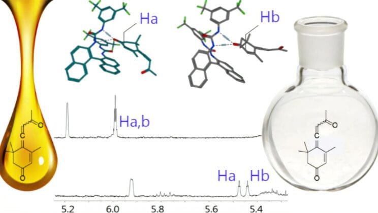 Scientists Recreate a Wildflower’s Secret That Could Save the Bees