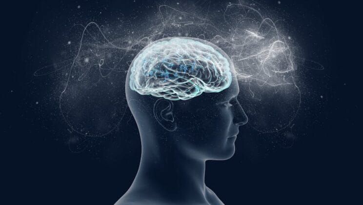 The Science of Consciousness: What Do We Know About the Mind?