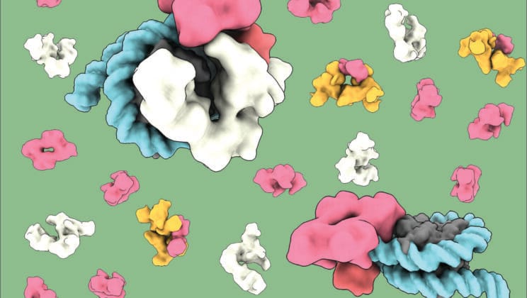 The Hidden Gatekeepers Inside Your Cells That Decide Life or Death