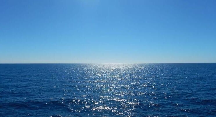 Exploring Earth’s Deepest Oceans: Life in the Abyss