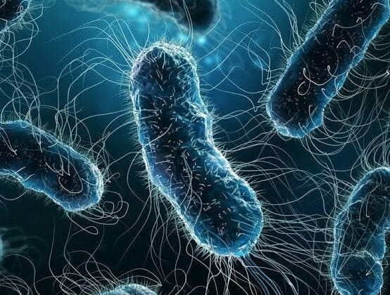 Exploring Microbes: The Hidden World Inside Us