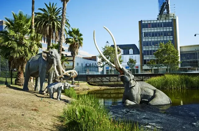 The La Brea Tar Pits: Window Into Ice Age America