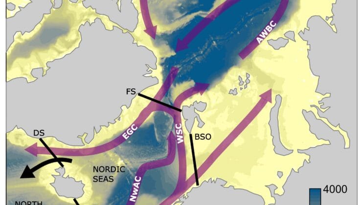 Arctic Waters Step In to Save Atlantic Currents but Scientists Warn Time is Running Out