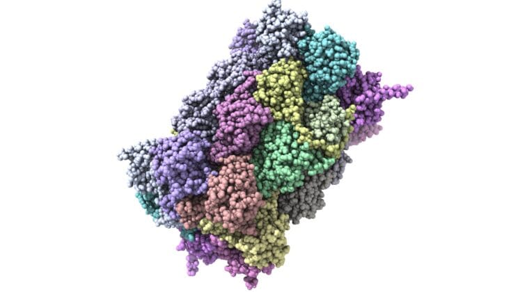 New Discovery Could Change the Way We Understand Alzheimer’s and Brain Aging