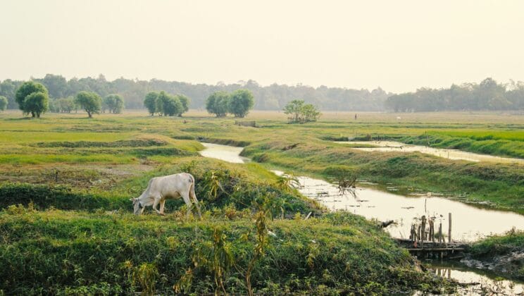 The Day Myanmar’s Fault Line Became a Supersonic Monster