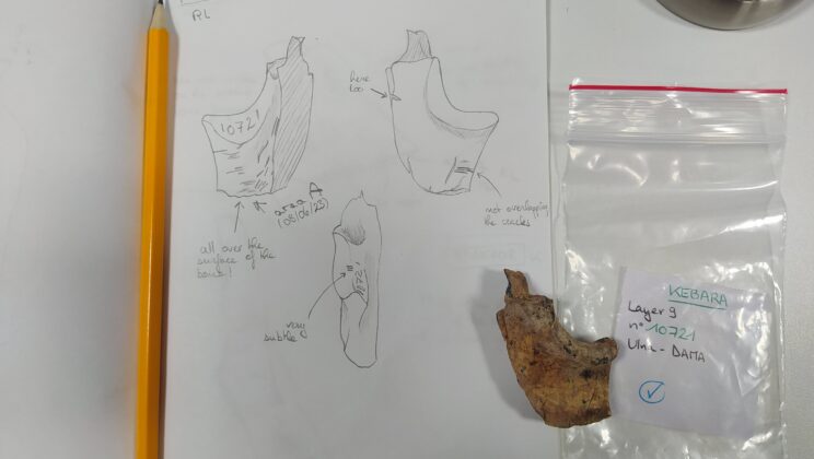 Did Neanderthals Pass Down Family Recipes Through Generations?
