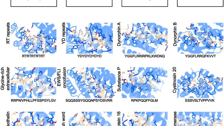How AI Is Cracking Biology’s Biggest Mystery