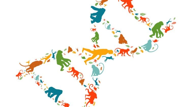 The Ancient Viruses That Still Control Our Genes