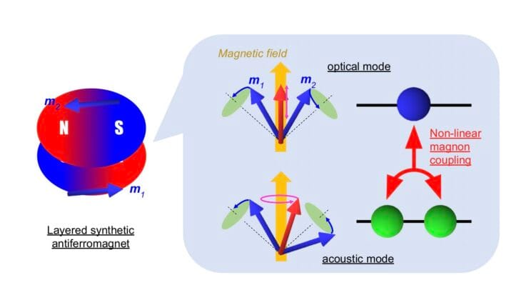 The Mysterious Spin Ballet Inside Synthetic Antiferromagnets