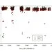 Light curve of the variable star Grigoriev 1 from the Zwicky Transient Facility (ZTF) project. Green circles—observations in g filter, red diamonds—in r filter. Credit: arXiv (2025). DOI: 10.48550/arxiv.2507.01005