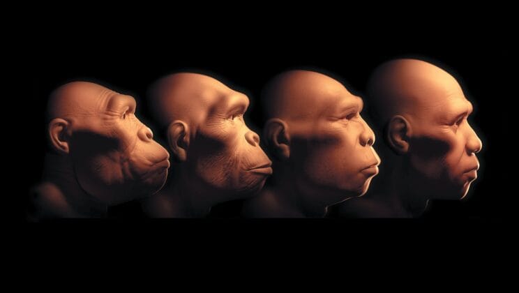 The Future of Evolution: What Comes After Us?