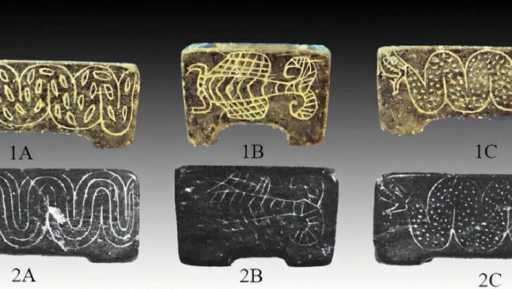 This 4,000-Year-Old Girl Is Changing Everything We Know About Ancient History