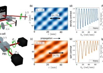 (a) Two-component Bragg spectroscopy setup. The resulting (b) Id = I+ + I− and (c) Is = I+ − I− in the (x,z) plane oscillate harmonically along z, with different frequencies respectively corresponding to Ωd(kp) and Ωs(kp). (d) Contrasts of the density and (e) spin fringes as a function of kp computed numerically at the cell output (z = L), of which we spot the extrema. The dotted black curves are the theoretical expectations. (f) Reconstruction of the density and (g) spin dispersions from the extrema of contrast. Fitting data points with the Bogoliubov relation (full blue in (f) and orange curves in (g)) gives the expected values of ∆nd,s. Credit: Physical Review Letters (2025). DOI: 10.1103/s58b-3mmx