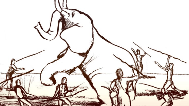 The Secret Path Where Humans and Elephants Once Walked Together