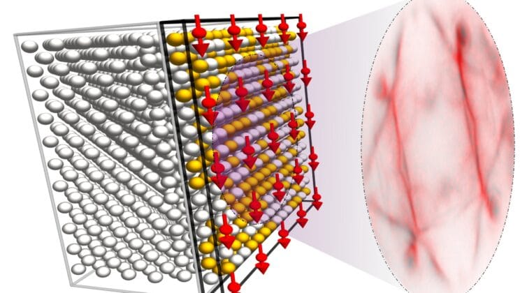 The Material That Lets Only One Kind of Electron Through