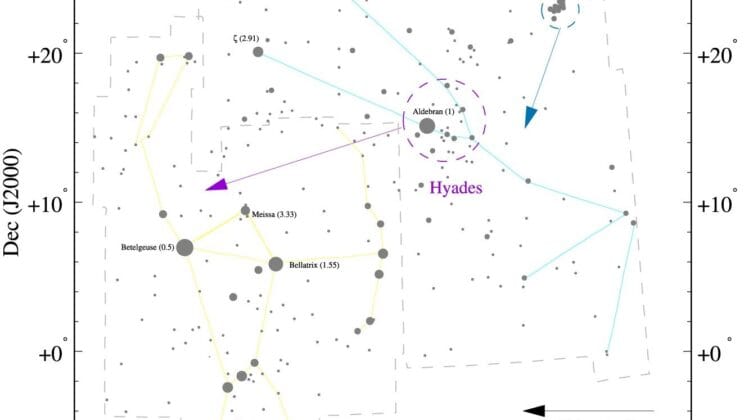 The Stars That Grew Up Together Across a Billion Years