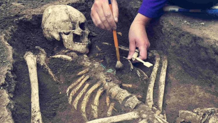 Why Do We Rarely Find Human Fossils?