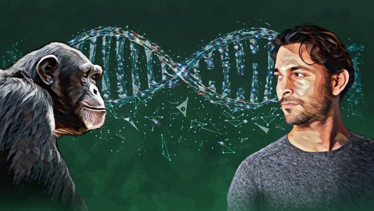 The Genetic Link Between Humans and Primates Explained