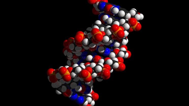 Scientists Finally Open the Black Box of AI and Glimpse the Secret Language of Proteins