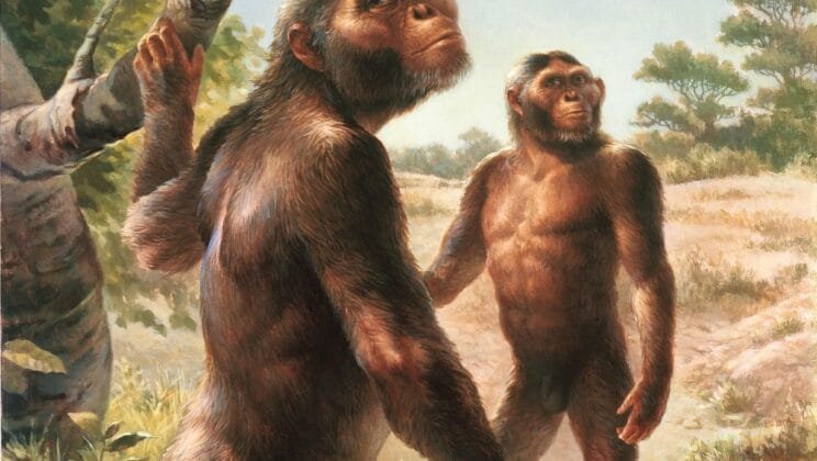 Why Evolution Is Not Just a Theory
