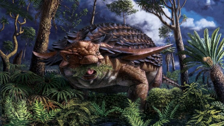 What Is the Most Complete Dinosaur Fossil Ever Found?