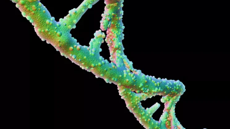 The Role of Genes in Evolution