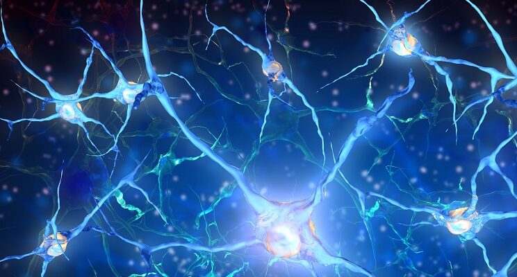 What is Biophysics? The Science Where Life and Physics Converge