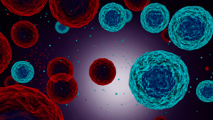 How Cells Communicate: Signal Transduction Pathways