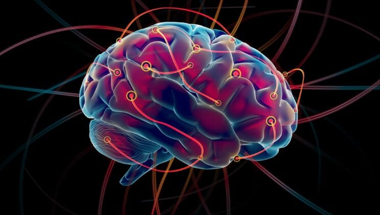 The Brain’s Internal GPS: How We Navigate Our World