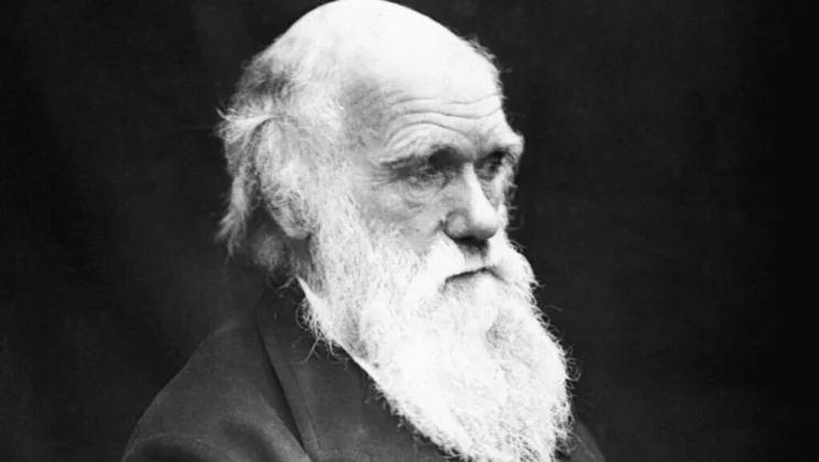Survival of the Fittest: What Darwin Really Meant