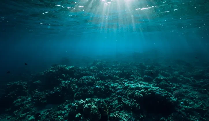 The Ocean Twilight Zone Earth’s Hidden Frontier