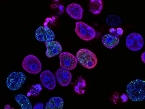 What Is Metagenomics and Why Does It Matter?