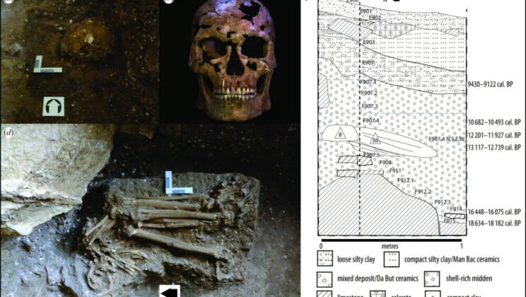 The 12000 Year Old Skeleton That Reveals Humanity’s First Known Act of Violence in Southeast Asia