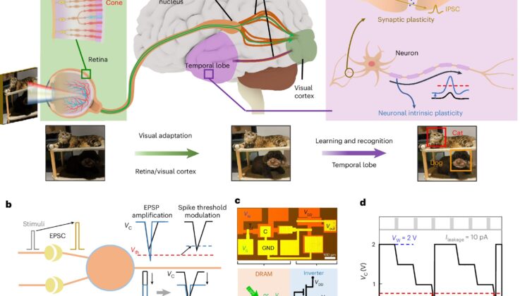 The Brain-Inspired Technology That Could Revolutionize AI Forever