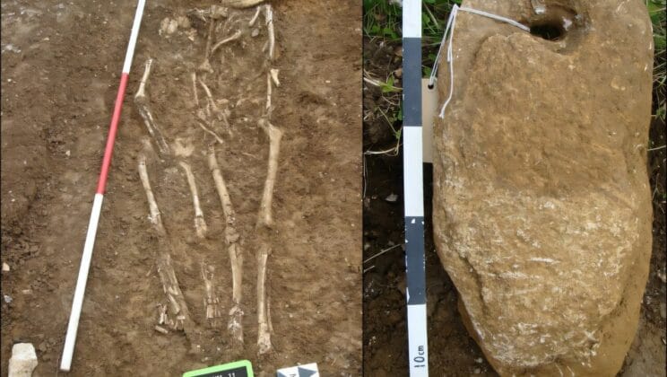 DNA From Ancient Graves Reveals West African Roots in Early Medieval England