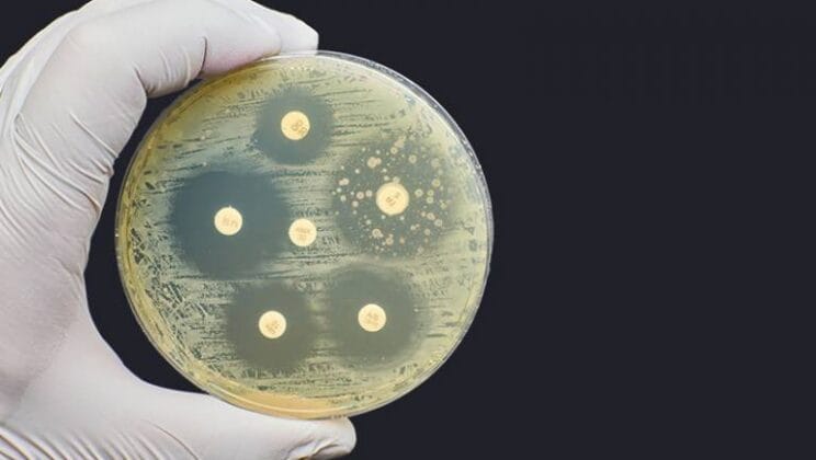 Understanding Bacterial Resistance Mechanisms